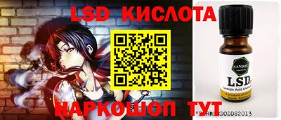гашик Гусев