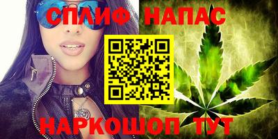 гашик Гусев