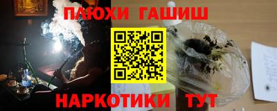 гашик Гусев